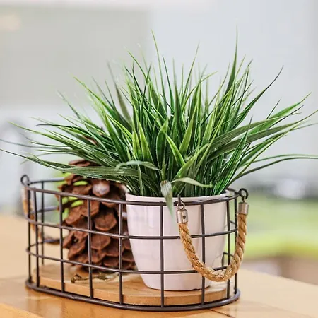 Appartement Sunny Duplex Martines *